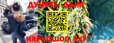гидра Краснознаменск