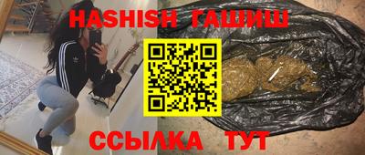 гидра Краснознаменск
