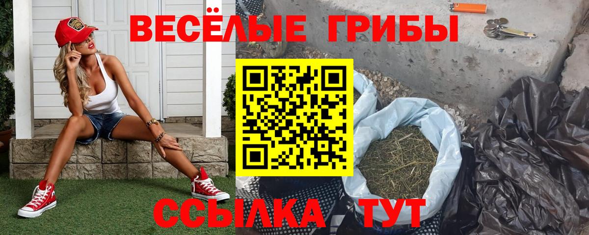 Галлюциногенные грибы Psilocybine cubensis  Вход с VPN  Бутурлиновка 
